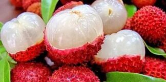 Lychee Nedir? Lychee’nin Faydaları Nelerdir? Son yıllarda sağlıklı beslenme trendlerinin artmasıyla birlikte tropikal meyveler daha fazla ilgi görmeye başladı. Bu meyvelerden biri olan Lychee, hem egzotik tadı hem de dikkat çekici besin değeri ile öne çıkıyor. Anavatanı Çin olan ve bilimsel adı Litchi chinensis olarak bilinen bu meyve, sabun ağacıgiller familyasına aittir. İnce, pütürlü ve kırmızı kabuğunun altında şeffaf, sulu ve tatlı bir meyve eti bulunur. Türkiye’de henüz çok yaygın olmasa da büyük marketlerde ve ithal ürün reyonlarında lychee meyvesi giderek daha fazla yer almaktadır. Konulu bir haber görseli.