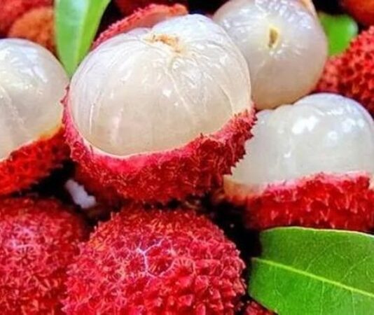 Son yıllarda sağlıklı beslenme trendlerinin artmasıyla birlikte tropikal meyveler daha fazla ilgi görmeye başladı. Bu meyvelerden biri olan Lychee, hem egzotik tadı hem de dikkat çekici besin değeri ile öne çıkıyor. Anavatanı Çin olan ve bilimsel adı Litchi chinensis olarak bilinen bu meyve, sabun ağacıgiller familyasına aittir. İnce, pütürlü ve kırmızı kabuğunun altında şeffaf, sulu ve tatlı bir meyve eti bulunur. Türkiye’de henüz çok yaygın olmasa da büyük marketlerde ve ithal ürün reyonlarında lychee meyvesi giderek daha fazla yer almaktadır. Konulu bir haber görseli.