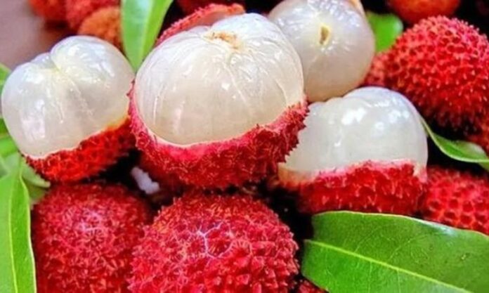 Son yıllarda sağlıklı beslenme trendlerinin artmasıyla birlikte tropikal meyveler daha fazla ilgi görmeye başladı. Bu meyvelerden biri olan Lychee, hem egzotik tadı hem de dikkat çekici besin değeri ile öne çıkıyor. Anavatanı Çin olan ve bilimsel adı Litchi chinensis olarak bilinen bu meyve, sabun ağacıgiller familyasına aittir. İnce, pütürlü ve kırmızı kabuğunun altında şeffaf, sulu ve tatlı bir meyve eti bulunur. Türkiye’de henüz çok yaygın olmasa da büyük marketlerde ve ithal ürün reyonlarında lychee meyvesi giderek daha fazla yer almaktadır. Konulu bir haber görseli.