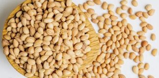 Anadolu mutfağında ve Orta Doğu kültüründe önemli bir yere sahip olan Mahlep, hem aroması hem de sağlık açısından sunduğu potansiyel katkılarla dikkat çeken doğal bir üründür. Özellikle hamur işlerinde verdiği kendine özgü koku sayesinde bilinen mahlep, aslında bir ağacın tohumundan elde edilir. Geleneksel tariflerde sıkça kullanılan bu özel baharat, son yıllarda sağlıklı beslenme trendleriyle birlikte yeniden popüler hale gelmiştir. Konulu bir haber görseli.