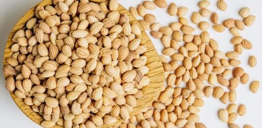 Anadolu mutfağında ve Orta Doğu kültüründe önemli bir yere sahip olan Mahlep, hem aroması hem de sağlık açısından sunduğu potansiyel katkılarla dikkat çeken doğal bir üründür. Özellikle hamur işlerinde verdiği kendine özgü koku sayesinde bilinen mahlep, aslında bir ağacın tohumundan elde edilir. Geleneksel tariflerde sıkça kullanılan bu özel baharat, son yıllarda sağlıklı beslenme trendleriyle birlikte yeniden popüler hale gelmiştir. Konulu bir haber görseli.