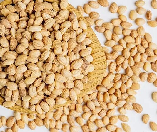 Anadolu mutfağında ve Orta Doğu kültüründe önemli bir yere sahip olan Mahlep, hem aroması hem de sağlık açısından sunduğu potansiyel katkılarla dikkat çeken doğal bir üründür. Özellikle hamur işlerinde verdiği kendine özgü koku sayesinde bilinen mahlep, aslında bir ağacın tohumundan elde edilir. Geleneksel tariflerde sıkça kullanılan bu özel baharat, son yıllarda sağlıklı beslenme trendleriyle birlikte yeniden popüler hale gelmiştir. Konulu bir haber görseli.