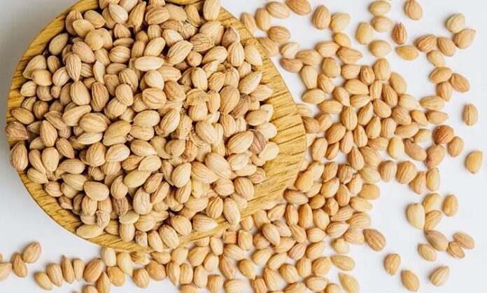 Anadolu mutfağında ve Orta Doğu kültüründe önemli bir yere sahip olan Mahlep, hem aroması hem de sağlık açısından sunduğu potansiyel katkılarla dikkat çeken doğal bir üründür. Özellikle hamur işlerinde verdiği kendine özgü koku sayesinde bilinen mahlep, aslında bir ağacın tohumundan elde edilir. Geleneksel tariflerde sıkça kullanılan bu özel baharat, son yıllarda sağlıklı beslenme trendleriyle birlikte yeniden popüler hale gelmiştir. Konulu bir haber görseli.