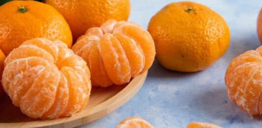 Mandalina Nedir? Mandalina’nın Faydaları Nelerdir? Kış aylarının vazgeçilmez meyvelerinden biri olan mandalina, hem lezzeti hem de sağlığa sunduğu katkılarla sofraların baş tacı olmaya devam ediyor. Turunçgiller ailesine ait olan bu aromatik meyve, ince kabuğu ve kolay soyulabilen yapısıyla özellikle çocuklardan yetişkinlere kadar geniş bir kitle tarafından tercih ediliyor. Türkiye’de özellikle Ege ve Akdeniz bölgelerinde yetiştirilen mandalina, içerdiği vitamin ve mineraller sayesinde bağışıklık sisteminin desteklenmesinde önemli rol oynuyor. Konulu bir haber görseli.
