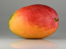 Mango Nedir? Mango’nun Faydaları Nelerdir? Tropikal meyveler arasında özel bir yere sahip olan mango, hem aroması hem de zengin içeriğiyle dünya genelinde en çok tüketilen meyvelerden biridir. Tatlı ve sulu yapısıyla dikkat çeken bu meyve, özellikle yaz aylarında ferahlatıcı etkisi nedeniyle tercih edilir. Ancak mango yalnızca lezzetiyle değil, aynı zamanda sağlık açısından sunduğu katkılarla da öne çıkar. Konulu bir haber görseli.