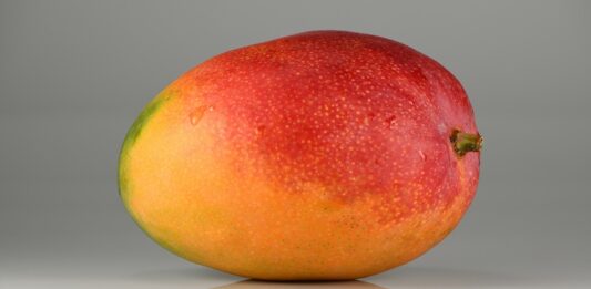 Mango Nedir? Mango’nun Faydaları Nelerdir? Tropikal meyveler arasında özel bir yere sahip olan mango, hem aroması hem de zengin içeriğiyle dünya genelinde en çok tüketilen meyvelerden biridir. Tatlı ve sulu yapısıyla dikkat çeken bu meyve, özellikle yaz aylarında ferahlatıcı etkisi nedeniyle tercih edilir. Ancak mango yalnızca lezzetiyle değil, aynı zamanda sağlık açısından sunduğu katkılarla da öne çıkar. Konulu bir haber görseli.