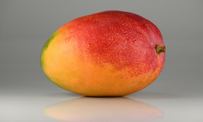 Mango Nedir? Mango'nun Faydaları Nelerdir? Tropikal meyveler arasında özel bir yere sahip olan mango, hem aroması hem de zengin içeriğiyle dünya genelinde en çok tüketilen meyvelerden biridir. Tatlı ve sulu yapısıyla dikkat çeken bu meyve, özellikle yaz aylarında ferahlatıcı etkisi nedeniyle tercih edilir. Ancak mango yalnızca lezzetiyle değil, aynı zamanda sağlık açısından sunduğu katkılarla da öne çıkar. Konulu bir haber görseli.