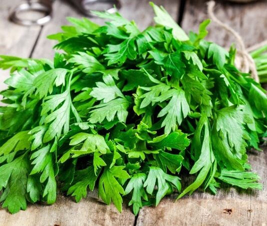 Türk mutfağının en çok kullanılan yeşilliklerinden biri olan Maydanoz, hem lezzeti hem de besin değeriyle sofraların vazgeçilmezidir. Salatalardan çorbalara, ana yemeklerden detoks tariflerine kadar pek çok alanda kullanılan bu bitki, aynı zamanda sağlık açısından sunduğu potansiyel katkılarla da dikkat çekmektedir. Peki Maydanoz nedir ve neden bu kadar yaygın şekilde tüketilmektedir? Konulu bir haber görseli.