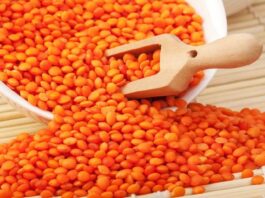 Mercimek Nedir? Mercimek’in Faydaları Nelerdir? Türk mutfağının en köklü ve besleyici baklagillerinden biri olan mercimek, hem ekonomik hem de yüksek besin değeri ile dikkat çeker. Kırmızı, yeşil ve sarı gibi farklı çeşitleri bulunan mercimek, çorbadan salataya, ana yemekten köfteye kadar pek çok tarifte kullanılabilir. Uzun yıllardır temel gıda maddeleri arasında yer alan bu baklagil, özellikle bitkisel protein kaynağı olarak öne çıkar. Konulu bir haber görseli.