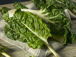 Yeşil yapraklı sebzeler arasında önemli bir yere sahip olan pazı, hem besleyici içeriği hem de mutfakta çok yönlü kullanımıyla dikkat çeker. Ispanakla benzer bir görünüme sahip olan pazı, geniş yaprakları ve kalın saplarıyla ayırt edilir. Zeytinyağlı yemeklerden böreklere, çorbalardan sarmalara kadar pek çok tarifte kullanılabilen bu sebze, özellikle kış ve bahar aylarında daha sık tüketilir. Düşük kalorili yapısı ve zengin besin değeri sayesinde sağlıklı beslenme programlarının vazgeçilmezlerinden biri haline gelmiştir. Konulu bir haber görseli.