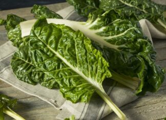 Yeşil yapraklı sebzeler arasında önemli bir yere sahip olan pazı, hem besleyici içeriği hem de mutfakta çok yönlü kullanımıyla dikkat çeker. Ispanakla benzer bir görünüme sahip olan pazı, geniş yaprakları ve kalın saplarıyla ayırt edilir. Zeytinyağlı yemeklerden böreklere, çorbalardan sarmalara kadar pek çok tarifte kullanılabilen bu sebze, özellikle kış ve bahar aylarında daha sık tüketilir. Düşük kalorili yapısı ve zengin besin değeri sayesinde sağlıklı beslenme programlarının vazgeçilmezlerinden biri haline gelmiştir. Konulu bir haber görseli.