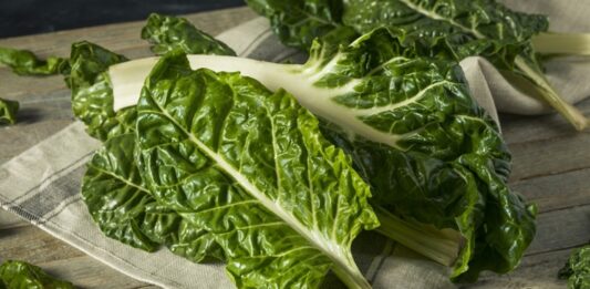 Yeşil yapraklı sebzeler arasında önemli bir yere sahip olan pazı, hem besleyici içeriği hem de mutfakta çok yönlü kullanımıyla dikkat çeker. Ispanakla benzer bir görünüme sahip olan pazı, geniş yaprakları ve kalın saplarıyla ayırt edilir. Zeytinyağlı yemeklerden böreklere, çorbalardan sarmalara kadar pek çok tarifte kullanılabilen bu sebze, özellikle kış ve bahar aylarında daha sık tüketilir. Düşük kalorili yapısı ve zengin besin değeri sayesinde sağlıklı beslenme programlarının vazgeçilmezlerinden biri haline gelmiştir. Konulu bir haber görseli.