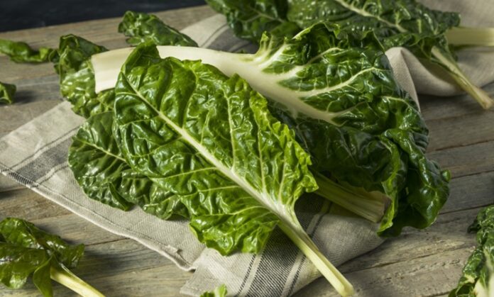 Pazı Nedir Pazı'nın Faydaları Nelerdir Yeşil yapraklı sebzeler arasında önemli bir yere sahip olan pazı, hem besleyici içeriği hem de mutfakta çok yönlü kullanımıyla dikkat çeker. Ispanakla benzer bir görünüme sahip olan pazı, geniş yaprakları ve kalın saplarıyla ayırt edilir. Zeytinyağlı yemeklerden böreklere, çorbalardan sarmalara kadar pek çok tarifte kullanılabilen bu sebze, özellikle kış ve bahar aylarında daha sık tüketilir. Düşük kalorili yapısı ve zengin besin değeri sayesinde sağlıklı beslenme programlarının vazgeçilmezlerinden biri haline gelmiştir. Konulu bir haber görseli.