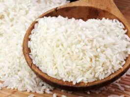 Pirinç Nedir? Pirinç’in Faydaları Nelerdir? Dünya genelinde milyarlarca insanın temel besin kaynağı olan pirinç, farklı kültürlerin mutfaklarında önemli bir yere sahiptir. Asya’dan Anadolu’ya kadar geniş bir coğrafyada tüketilen pirinç, sade pilavdan çorbalara, dolmalardan tatlılara kadar pek çok tarifte kullanılmaktadır. Yüksek besin değeri ve enerji içeriği sayesinde günlük beslenme düzeninde sıkça tercih edilen bir tahıldır. Konulu bir haber görseli.