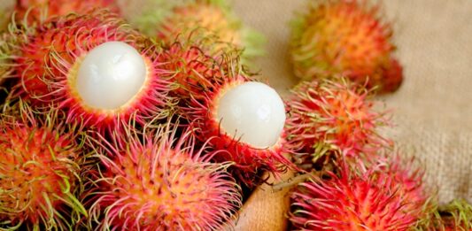 Tropikal meyveler arasında görüntüsüyle en dikkat çeken türlerden biri olan Rambutan, son yıllarda sağlıklı beslenme listelerinde daha sık yer almaya başlamıştır. Kırmızı ve tüylü kabuğuyla ilk bakışta farklı bir izlenim oluşturan bu meyve, iç kısmında şeffaf ve sulu bir et barındırır. Bilimsel adı Nephelium lappaceum olan rambutan, Güneydoğu Asya kökenlidir ve özellikle Malezya, Tayland ve Endonezya’da yaygın olarak yetiştirilmektedir. Türkiye’de ithal ürün reyonlarında sınırlı da olsa bulunabilen rambutan meyvesi, egzotik lezzet arayanların ilgisini çekmektedir. Konulu bir haber görseli.