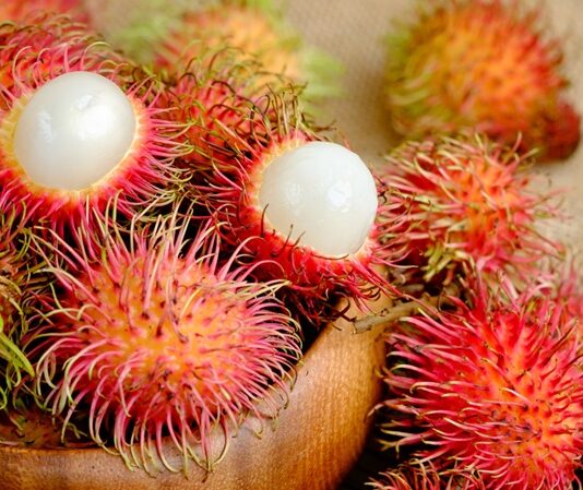 Tropikal meyveler arasında görüntüsüyle en dikkat çeken türlerden biri olan Rambutan, son yıllarda sağlıklı beslenme listelerinde daha sık yer almaya başlamıştır. Kırmızı ve tüylü kabuğuyla ilk bakışta farklı bir izlenim oluşturan bu meyve, iç kısmında şeffaf ve sulu bir et barındırır. Bilimsel adı Nephelium lappaceum olan rambutan, Güneydoğu Asya kökenlidir ve özellikle Malezya, Tayland ve Endonezya’da yaygın olarak yetiştirilmektedir. Türkiye’de ithal ürün reyonlarında sınırlı da olsa bulunabilen rambutan meyvesi, egzotik lezzet arayanların ilgisini çekmektedir. Konulu bir haber görseli.