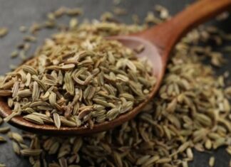 Doğal bitkiler arasında hem aromatik tadı hem de sağlık üzerindeki potansiyel etkileriyle öne çıkan Rezene, yüzyıllardır farklı kültürlerde kullanılan değerli bir bitkidir. Özellikle çay formunda sıkça tercih edilen bu bitki, hafif anason benzeri kokusuyla dikkat çeker. Peki, Rezene nedir ve neden bu kadar yaygın şekilde tüketilmektedir? Konulu bir haber görseli.