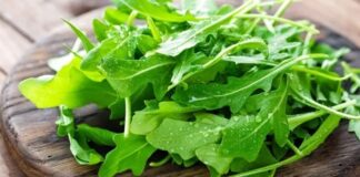 Akdeniz mutfağının vazgeçilmez yeşilliklerinden biri olan Roka, kendine has hafif acı ve keskin tadıyla özellikle salatalarda ve balık sofralarında sıkça tercih edilir. İnce yapraklı yapısı ve güçlü aromasıyla dikkat çeken bu bitki, sadece lezzetiyle değil, aynı zamanda besin değeriyle de ön plana çıkar. Peki Roka nedir ve neden sağlıklı beslenme programlarında önemli bir yer tutar? Konulu bir haber görseli.