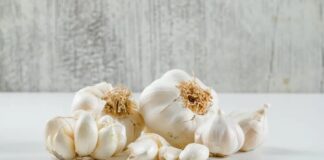 Yüzyıllardır hem mutfaklarda hem de geleneksel tıpta kullanılan Sarımsak, keskin kokusu ve güçlü etkileriyle dikkat çeken doğal bir besindir. Antik dönemlerden bu yana farklı kültürlerde şifa kaynağı olarak görülen bu bitki, günümüzde de sağlıklı yaşamın vazgeçilmezleri arasında yer almaktadır. Peki, Sarımsak nedir ve neden “doğal antibiyotik” olarak anılmaktadır? Konulu bir haber görseli.