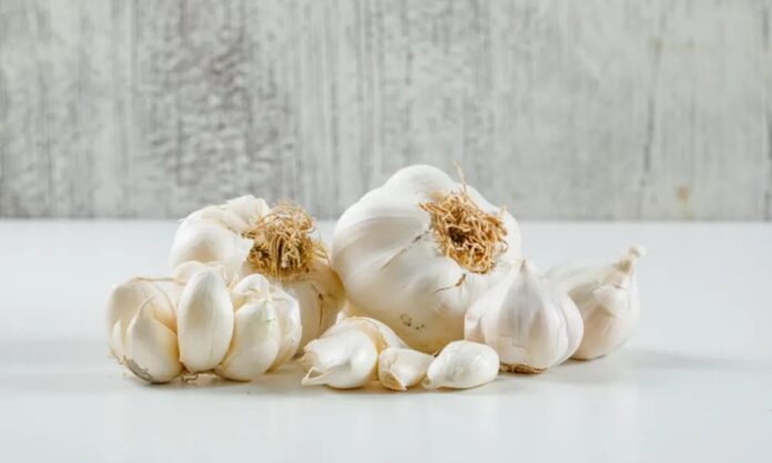 Sarımsak Nedir Ve Sarımsağın Faydaları Nelerdir Doğal Antibiyotik Olarak Bilinen Güçlü Besin Yüzyıllardır hem mutfaklarda hem de geleneksel tıpta kullanılan Sarımsak, keskin kokusu ve güçlü etkileriyle dikkat çeken doğal bir besindir. Antik dönemlerden bu yana farklı kültürlerde şifa kaynağı olarak görülen bu bitki, günümüzde de sağlıklı yaşamın vazgeçilmezleri arasında yer almaktadır. Peki, Sarımsak nedir ve neden “doğal antibiyotik” olarak anılmaktadır? Konulu bir haber görseli.