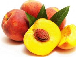 Şeftali Nedir? Şeftali’nin Faydaları Nelerdir? Yaz aylarının en sevilen meyvelerinden biri olan Şeftali, sulu yapısı ve hoş aromasıyla sofralarda sıkça yer bulur. Hem taze tüketilebilen hem de tatlı, komposto ve içecek tariflerinde kullanılan bu lezzetli meyve, besin değeri açısından da oldukça zengindir. Özellikle sıcak havalarda ferahlatıcı etkisiyle tercih edilen Şeftali, sağlıklı beslenme planlarında da önemli bir yere sahiptir. Bu nedenle Şeftali nedir ve vücuda ne gibi katkılar sağlar sorusu sıkça gündeme gelmektedir. Konulu bir haber görseli.