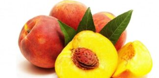 Şeftali Nedir? Şeftali’nin Faydaları Nelerdir? Yaz aylarının en sevilen meyvelerinden biri olan Şeftali, sulu yapısı ve hoş aromasıyla sofralarda sıkça yer bulur. Hem taze tüketilebilen hem de tatlı, komposto ve içecek tariflerinde kullanılan bu lezzetli meyve, besin değeri açısından da oldukça zengindir. Özellikle sıcak havalarda ferahlatıcı etkisiyle tercih edilen Şeftali, sağlıklı beslenme planlarında da önemli bir yere sahiptir. Bu nedenle Şeftali nedir ve vücuda ne gibi katkılar sağlar sorusu sıkça gündeme gelmektedir. Konulu bir haber görseli.