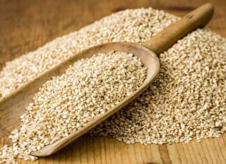 Geleneksel mutfakların vazgeçilmez lezzetlerinden biri olan susam, küçük taneli yapısına rağmen yüksek besin değeri ile dikkat çeken yağlı tohumlar arasında yer alır. Simitten tahine, helvadan çeşitli hamur işlerine kadar pek çok alanda kullanılan susam, hem aroması hem de sağlığa sunduğu katkılar sayesinde sofralarda önemli bir yere sahiptir. Yüzyıllardır farklı coğrafyalarda yetiştirilen bu değerli tohum, günümüzde de sağlıklı beslenme programlarında kendine yer bulmaktadır. Konulu bir haber görseli.