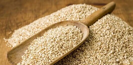 Geleneksel mutfakların vazgeçilmez lezzetlerinden biri olan susam, küçük taneli yapısına rağmen yüksek besin değeri ile dikkat çeken yağlı tohumlar arasında yer alır. Simitten tahine, helvadan çeşitli hamur işlerine kadar pek çok alanda kullanılan susam, hem aroması hem de sağlığa sunduğu katkılar sayesinde sofralarda önemli bir yere sahiptir. Yüzyıllardır farklı coğrafyalarda yetiştirilen bu değerli tohum, günümüzde de sağlıklı beslenme programlarında kendine yer bulmaktadır. Konulu bir haber görseli.