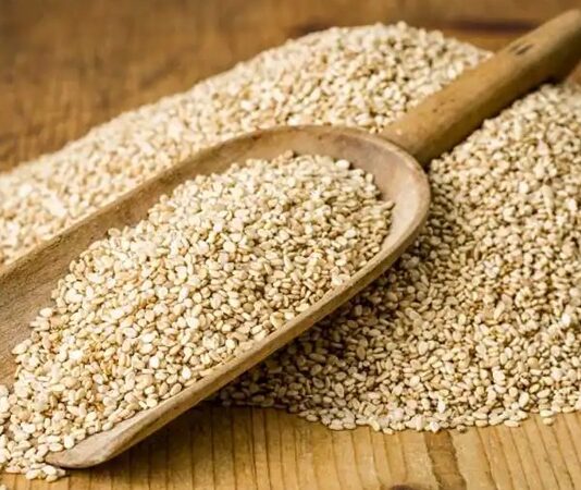 Geleneksel mutfakların vazgeçilmez lezzetlerinden biri olan susam, küçük taneli yapısına rağmen yüksek besin değeri ile dikkat çeken yağlı tohumlar arasında yer alır. Simitten tahine, helvadan çeşitli hamur işlerine kadar pek çok alanda kullanılan susam, hem aroması hem de sağlığa sunduğu katkılar sayesinde sofralarda önemli bir yere sahiptir. Yüzyıllardır farklı coğrafyalarda yetiştirilen bu değerli tohum, günümüzde de sağlıklı beslenme programlarında kendine yer bulmaktadır. Konulu bir haber görseli.