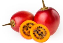 Son yıllarda sağlıklı beslenme trendleriyle birlikte tropikal ve egzotik meyveler daha fazla ilgi görmeye başladı. Bu meyvelerden biri olan Tamarillo, görüntüsü itibarıyla domatese benzese de tat ve besin değeri açısından oldukça farklıdır. Halk arasında ağaç domatesi olarak da bilinen bu meyvenin bilimsel adı Solanum betaceum olarak geçmektedir. Anavatanı Güney Amerika olan tamarillo, özellikle Peru, Ekvador ve Kolombiya gibi ülkelerde yaygın şekilde yetiştirilmektedir. Konulu bir haber görseli.