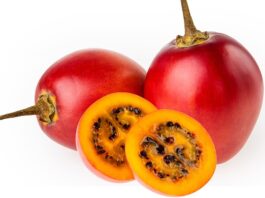 Tamarillo Nedir? Tamarillo’nun Faydaları Nelerdir? Son yıllarda sağlıklı beslenme trendleriyle birlikte tropikal ve egzotik meyveler daha fazla ilgi görmeye başladı. Bu meyvelerden biri olan Tamarillo, görüntüsü itibarıyla domatese benzese de tat ve besin değeri açısından oldukça farklıdır. Halk arasında ağaç domatesi olarak da bilinen bu meyvenin bilimsel adı Solanum betaceum olarak geçmektedir. Anavatanı Güney Amerika olan tamarillo, özellikle Peru, Ekvador ve Kolombiya gibi ülkelerde yaygın şekilde yetiştirilmektedir. Konulu bir haber görseli.