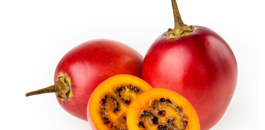 Son yıllarda sağlıklı beslenme trendleriyle birlikte tropikal ve egzotik meyveler daha fazla ilgi görmeye başladı. Bu meyvelerden biri olan Tamarillo, görüntüsü itibarıyla domatese benzese de tat ve besin değeri açısından oldukça farklıdır. Halk arasında ağaç domatesi olarak da bilinen bu meyvenin bilimsel adı Solanum betaceum olarak geçmektedir. Anavatanı Güney Amerika olan tamarillo, özellikle Peru, Ekvador ve Kolombiya gibi ülkelerde yaygın şekilde yetiştirilmektedir. Konulu bir haber görseli.