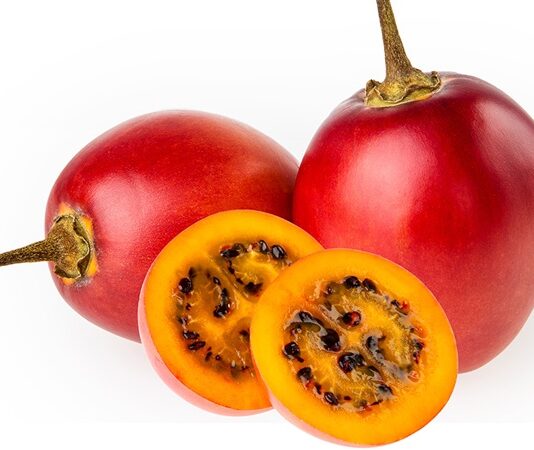 Son yıllarda sağlıklı beslenme trendleriyle birlikte tropikal ve egzotik meyveler daha fazla ilgi görmeye başladı. Bu meyvelerden biri olan Tamarillo, görüntüsü itibarıyla domatese benzese de tat ve besin değeri açısından oldukça farklıdır. Halk arasında ağaç domatesi olarak da bilinen bu meyvenin bilimsel adı Solanum betaceum olarak geçmektedir. Anavatanı Güney Amerika olan tamarillo, özellikle Peru, Ekvador ve Kolombiya gibi ülkelerde yaygın şekilde yetiştirilmektedir. Konulu bir haber görseli.