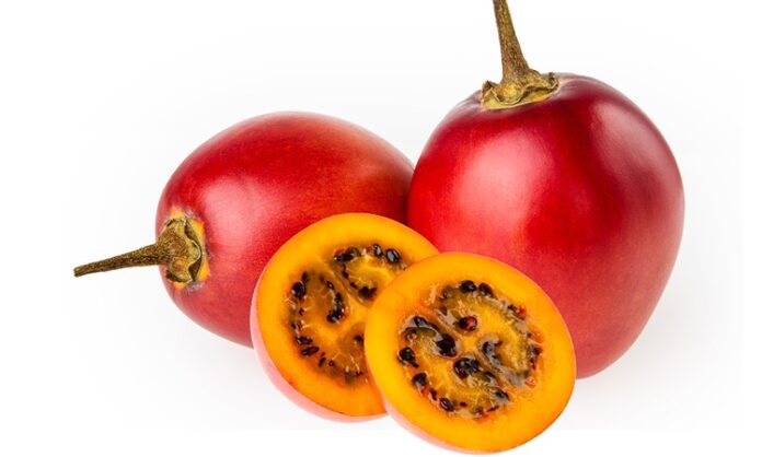 Tamarillo Nedir Tamarillo'nun Faydaları Nelerdir Son yıllarda sağlıklı beslenme trendleriyle birlikte tropikal ve egzotik meyveler daha fazla ilgi görmeye başladı. Bu meyvelerden biri olan Tamarillo, görüntüsü itibarıyla domatese benzese de tat ve besin değeri açısından oldukça farklıdır. Halk arasında ağaç domatesi olarak da bilinen bu meyvenin bilimsel adı Solanum betaceum olarak geçmektedir. Anavatanı Güney Amerika olan tamarillo, özellikle Peru, Ekvador ve Kolombiya gibi ülkelerde yaygın şekilde yetiştirilmektedir. Konulu bir haber görseli.