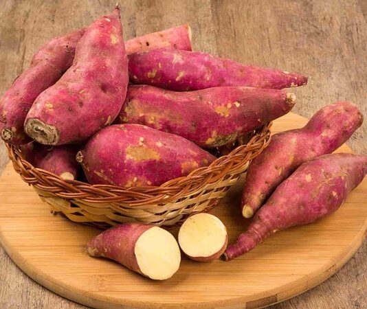 Son yıllarda sağlıklı beslenme trendleriyle birlikte daha fazla ilgi görmeye başlayan tatlı patates, besleyici içeriği ve kendine özgü aromasıyla dikkat çeken bir kök sebzedir. Klasik patatesten farklı olarak turuncu, mor ya da beyaz renkte olabilen tatlı patates, hafif tatlı lezzeti sayesinde hem tuzlu hem de tatlı tariflerde kullanılabilir. Özellikle fırın yemeklerinde, pürelerde ve sağlıklı atıştırmalıklarda tercih edilir. Konulu bir haber görseli.