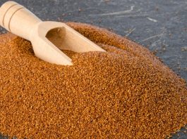 Teff, son yıllarda sağlık ve beslenme dünyasında sıkça duyulan, özellikle glutensiz beslenme için ideal bir tahıl olarak öne çıkan bir gıdadır. Küçük taneleri ile dikkat çeken teff, özellikle Etiyopya mutfağının temel besinlerinden biridir ve besleyici özellikleri sayesinde dünya genelinde popüler hale gelmiştir. Teff, yüksek lif, protein ve mineral içeriği ile sağlıklı beslenmeyi destekler, sindirim sistemini düzenler ve enerji seviyesini artırır. Konulu bir haber görseli.