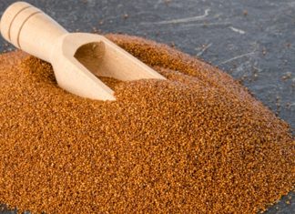 Teff, son yıllarda sağlık ve beslenme dünyasında sıkça duyulan, özellikle glutensiz beslenme için ideal bir tahıl olarak öne çıkan bir gıdadır. Küçük taneleri ile dikkat çeken teff, özellikle Etiyopya mutfağının temel besinlerinden biridir ve besleyici özellikleri sayesinde dünya genelinde popüler hale gelmiştir. Teff, yüksek lif, protein ve mineral içeriği ile sağlıklı beslenmeyi destekler, sindirim sistemini düzenler ve enerji seviyesini artırır. Konulu bir haber görseli.