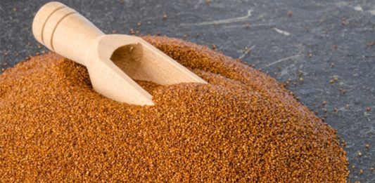 Teff, son yıllarda sağlık ve beslenme dünyasında sıkça duyulan, özellikle glutensiz beslenme için ideal bir tahıl olarak öne çıkan bir gıdadır. Küçük taneleri ile dikkat çeken teff, özellikle Etiyopya mutfağının temel besinlerinden biridir ve besleyici özellikleri sayesinde dünya genelinde popüler hale gelmiştir. Teff, yüksek lif, protein ve mineral içeriği ile sağlıklı beslenmeyi destekler, sindirim sistemini düzenler ve enerji seviyesini artırır. Konulu bir haber görseli.