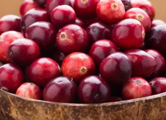 Son yıllarda sağlıklı beslenme trendleriyle birlikte kırmızı meyveler daha fazla ilgi görmeye başladı. Bu meyveler arasında yer alan Turna Yemişi, özellikle antioksidan içeriği ve kendine özgü ekşi tadıyla dikkat çeker. Halk arasında cranberry olarak da bilinen bu meyve, hem taze hem de kurutulmuş formda tüketilebilir ve farklı tariflerde kullanılabilir. Konulu bir haber görseli.