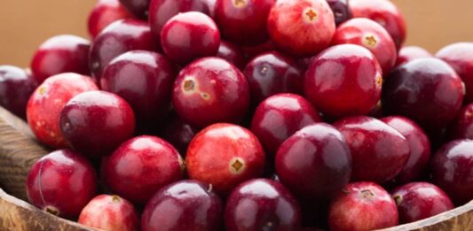 Son yıllarda sağlıklı beslenme trendleriyle birlikte kırmızı meyveler daha fazla ilgi görmeye başladı. Bu meyveler arasında yer alan Turna Yemişi, özellikle antioksidan içeriği ve kendine özgü ekşi tadıyla dikkat çeker. Halk arasında cranberry olarak da bilinen bu meyve, hem taze hem de kurutulmuş formda tüketilebilir ve farklı tariflerde kullanılabilir. Konulu bir haber görseli.