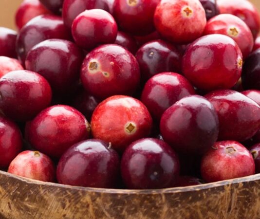 Son yıllarda sağlıklı beslenme trendleriyle birlikte kırmızı meyveler daha fazla ilgi görmeye başladı. Bu meyveler arasında yer alan Turna Yemişi, özellikle antioksidan içeriği ve kendine özgü ekşi tadıyla dikkat çeker. Halk arasında cranberry olarak da bilinen bu meyve, hem taze hem de kurutulmuş formda tüketilebilir ve farklı tariflerde kullanılabilir. Konulu bir haber görseli.