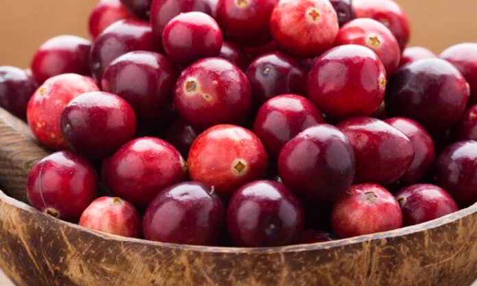 Son yıllarda sağlıklı beslenme trendleriyle birlikte kırmızı meyveler daha fazla ilgi görmeye başladı. Bu meyveler arasında yer alan Turna Yemişi, özellikle antioksidan içeriği ve kendine özgü ekşi tadıyla dikkat çeker. Halk arasında cranberry olarak da bilinen bu meyve, hem taze hem de kurutulmuş formda tüketilebilir ve farklı tariflerde kullanılabilir. Konulu bir haber görseli.