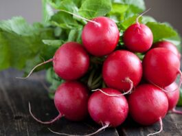 Kök sebzeler arasında kendine özgü aroması ve keskin tadıyla öne çıkan turp, sofralarda özellikle salataların ve kahvaltı tabaklarının vazgeçilmezleri arasında yer alır. Beyaz, kırmızı ve siyah çeşitleri bulunan turp, hem çiğ hem de farklı tariflerde kullanılarak tüketilebilir. Düşük kalorili yapısı ve zengin besin değeri sayesinde sağlıklı beslenme programlarında sıkça tercih edilir. Konulu bir haber görseli.