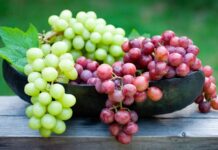 Yüzyıllardır sofralarda yer alan ve hem taze hem de kurutulmuş formda tüketilen üzüm, besleyici özellikleriyle dikkat çeken bir meyvedir. Bilimsel adı Vitis vinifera olan üzüm, asmagiller familyasına aittir ve dünya genelinde yaygın olarak yetiştirilmektedir. Farklı renk ve tat seçenekleri bulunan üzüm; yeşil, kırmızı, mor ve siyah çeşitleriyle hem lezzet hem de sağlık açısından zengin bir alternatif sunar. konulu bir haber görseli.