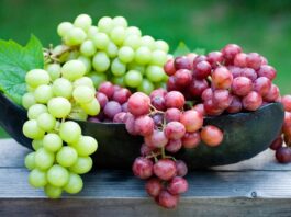 Yüzyıllardır sofralarda yer alan ve hem taze hem de kurutulmuş formda tüketilen üzüm, besleyici özellikleriyle dikkat çeken bir meyvedir. Bilimsel adı Vitis vinifera olan üzüm, asmagiller familyasına aittir ve dünya genelinde yaygın olarak yetiştirilmektedir. Farklı renk ve tat seçenekleri bulunan üzüm; yeşil, kırmızı, mor ve siyah çeşitleriyle hem lezzet hem de sağlık açısından zengin bir alternatif sunar. konulu bir haber görseli.