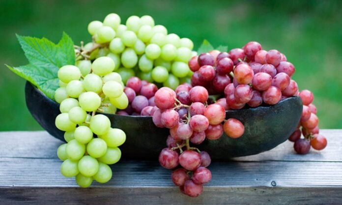 Üzüm Nedir Üzümün Faydaları Nelerdir Doğal Enerji Kaynağı Olarak Üzüm Yüzyıllardır sofralarda yer alan ve hem taze hem de kurutulmuş formda tüketilen üzüm, besleyici özellikleriyle dikkat çeken bir meyvedir. Bilimsel adı Vitis vinifera olan üzüm, asmagiller familyasına aittir ve dünya genelinde yaygın olarak yetiştirilmektedir. Farklı renk ve tat seçenekleri bulunan üzüm; yeşil, kırmızı, mor ve siyah çeşitleriyle hem lezzet hem de sağlık açısından zengin bir alternatif sunar. konulu bir haber görseli.