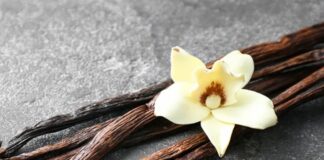 Dünyanın en sevilen aromalarından biri olan Vanilya, hem tatlı tariflerinde hem de kozmetik sektöründe yaygın olarak kullanılan değerli bir bitkisel üründür. Tropikal iklimlerde yetişen ve bilimsel adı Vanilla planifolia olan orkide türünden elde edilir. Çubuk formundaki meyveleri fermente edilerek karakteristik kokusunu kazanır. Bu zahmetli üretim süreci, Vanilyayı dünyanın en kıymetli baharatlarından biri haline getirir. Konulu bir haber görseli.