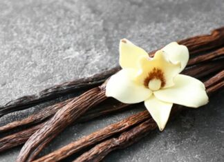 Dünyanın en sevilen aromalarından biri olan Vanilya, hem tatlı tariflerinde hem de kozmetik sektöründe yaygın olarak kullanılan değerli bir bitkisel üründür. Tropikal iklimlerde yetişen ve bilimsel adı Vanilla planifolia olan orkide türünden elde edilir. Çubuk formundaki meyveleri fermente edilerek karakteristik kokusunu kazanır. Bu zahmetli üretim süreci, Vanilyayı dünyanın en kıymetli baharatlarından biri haline getirir. Konulu bir haber görseli.