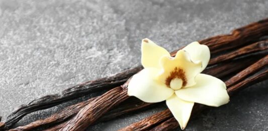 Dünyanın en sevilen aromalarından biri olan Vanilya, hem tatlı tariflerinde hem de kozmetik sektöründe yaygın olarak kullanılan değerli bir bitkisel üründür. Tropikal iklimlerde yetişen ve bilimsel adı Vanilla planifolia olan orkide türünden elde edilir. Çubuk formundaki meyveleri fermente edilerek karakteristik kokusunu kazanır. Bu zahmetli üretim süreci, Vanilyayı dünyanın en kıymetli baharatlarından biri haline getirir. Konulu bir haber görseli.