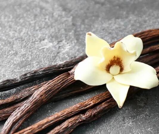 Dünyanın en sevilen aromalarından biri olan Vanilya, hem tatlı tariflerinde hem de kozmetik sektöründe yaygın olarak kullanılan değerli bir bitkisel üründür. Tropikal iklimlerde yetişen ve bilimsel adı Vanilla planifolia olan orkide türünden elde edilir. Çubuk formundaki meyveleri fermente edilerek karakteristik kokusunu kazanır. Bu zahmetli üretim süreci, Vanilyayı dünyanın en kıymetli baharatlarından biri haline getirir. Konulu bir haber görseli.